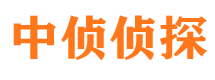 突泉市调查公司